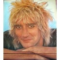 LP ROD STEWART BLONDES HAVE MORE FUN