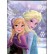 FROZEN DIARIO 5 MM 10 MESI CRT57574330 5420042268391